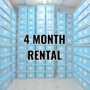 4 Month Rental