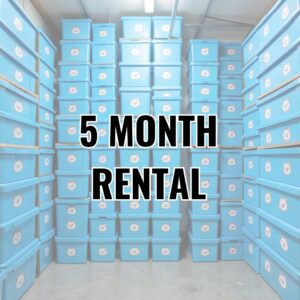 5 Month Rental